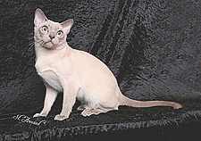 15_Franklee Saxton